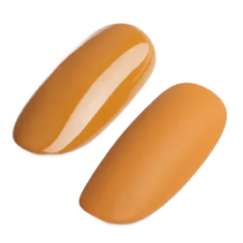 GEL POLISH #301