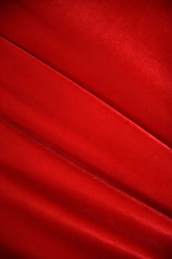 Red Velvet Trumpet Sleeve Gown